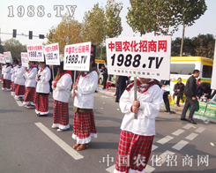 Ҋ�C�r(n��ng)���W(w��ng)�ݴ�����(qi��ng)��չʾ