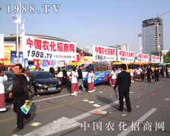 �r(n��ng)�����̾W(w��ng)�F(tu��n)ꠈԳֲ�и��Ӣ�˲��l(f��)