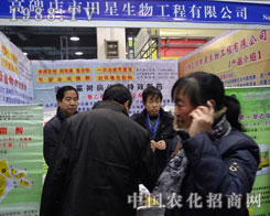 ���������ӱ�ʡʯ���fֲ�������L(f��ng)��