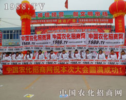 ׌�����ˌ��r(n��ng)���W(w��ng)���˸���һ�����˽⣡