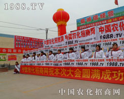 1988.TV����Ӱ�����v�����Ě�Ϣ