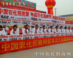 �r(n��ng)�����̾W(w��ng)ȫ���Ը��ľ���l(f��)�P(y��ng)�ĺ������죡