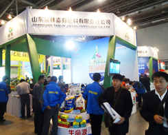 ɽ�|Ȫ�ּ��з�����2013�׏�(f��)�ʕ���