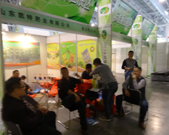 ɽ�|�P�طʘI(y��)������2013�׏�(f��)�ʕ�(hu��)