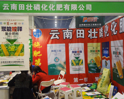 ��������׻����Єӵ�11�����ݷ��ϕ�