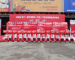 ��11�����ݷ��ϕ��ϵ��W������