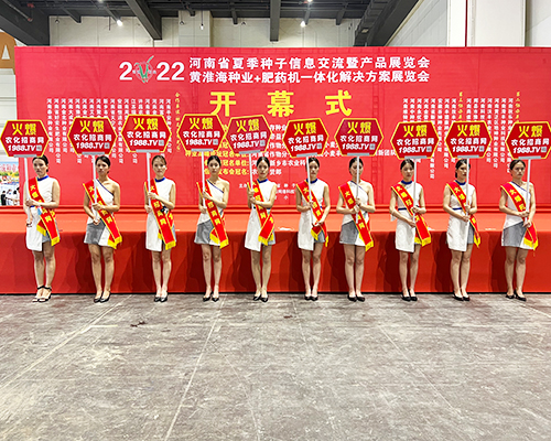 �����]�����Ĵ������������L(f��ng)�ɱM�@��