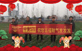 ��(li��n)¡���ʡ�ף������µ�һ�������w�������f��������