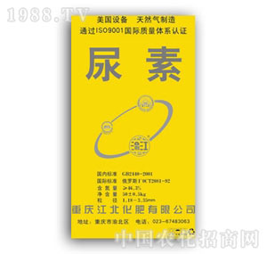 ����-����