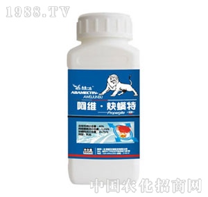 �Ͼ�һ��-���SȲ����