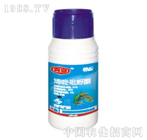 ���r�r��-ϩ�����ͪ