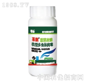 ���r�r��-���ҹ����Ͷ���w����