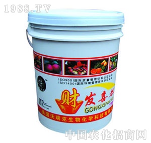 �����-��ϲ�l(f��)ؔ