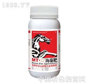 MT-�ں����