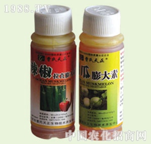 �̴T�S-�����ϵ��