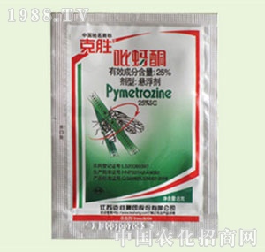 �̴T�S-����ͪ