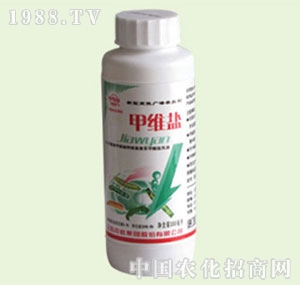 �̴T�S-�׾S�}