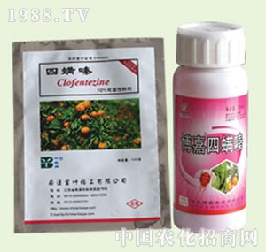 �̴T�S-�����