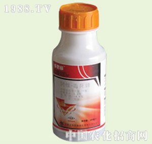 �̴T�S-��И�(bi��o)