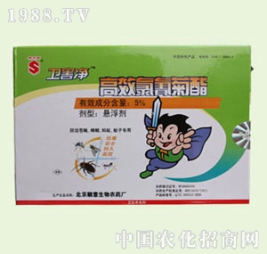 �̴T�S-�l(w��i)����