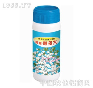 ���A��(qi��ng)-��⏶�ϵ��