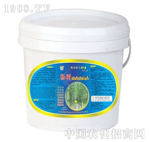 ���A��(qi��ng)-�������������