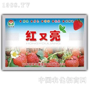 ���A��(qi��ng)-��ݮ�t����