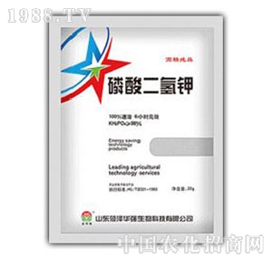 ���A��(qi��ng)-��������