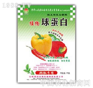 ���A��-ֲ���򵰰���������