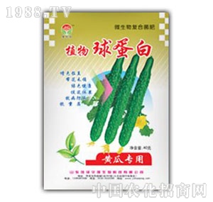 ���A��-�S�����򵰰�