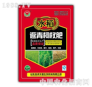 ���A��-ˮ�������辷�