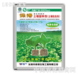 �����ӷN�����݌���