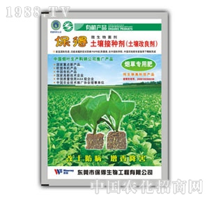 �����������������݌���