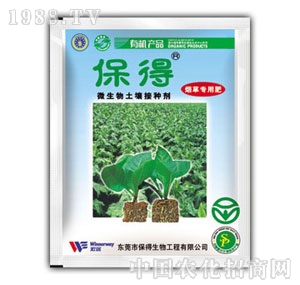 �����ӷN�����݌���