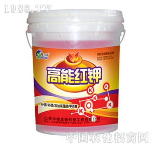 ��ԣ����-���ܼt�