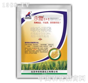 ���r(n��ng)����-���z1+1