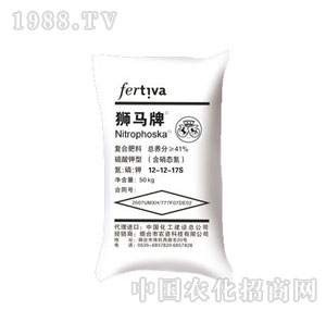 ����-�{�R�ͺϷ�12-12-17