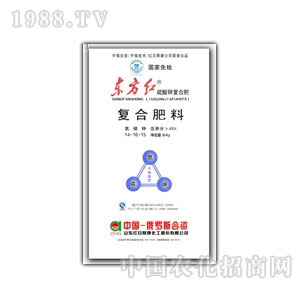 �t�հ���-�|���t����⛏�(f��)�Ϸ�