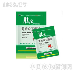 �~��˹-�Č���ˎ��