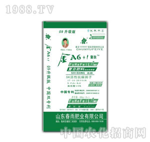 Ԋ���A6+1�����ģ������Կ�����