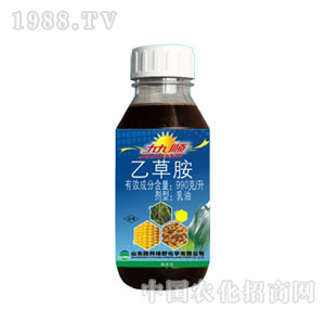 �ž���Ҳݰ�