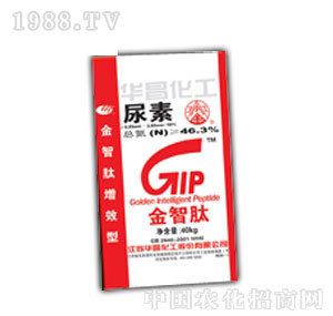 �A������-��Ч����