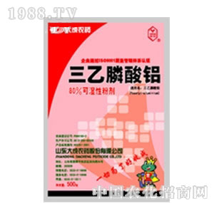 ��������X