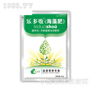 �����պ����