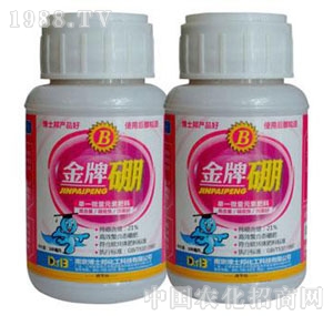 ��ʿ��-��