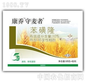 ����-����¡