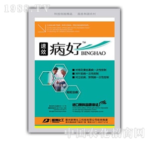 �²�����-����