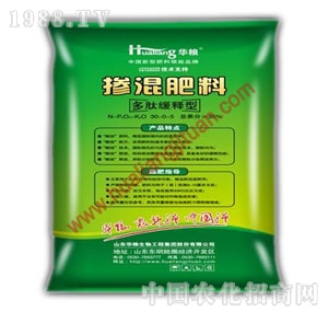 �A�Z����-�������