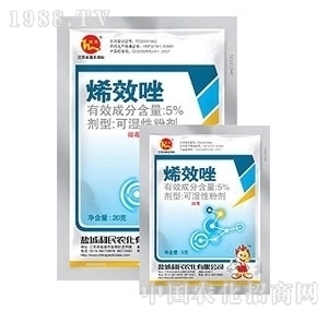 �}������-5%ϩЧ��