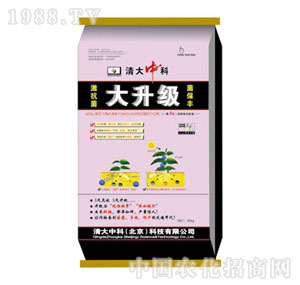 ����п�-�������_ʩ��